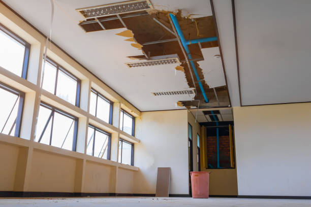 Best Fire Damage Restoration  in Perry, IA
