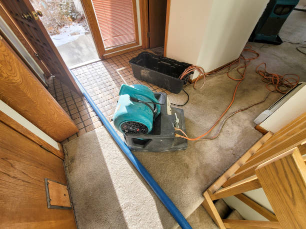 Best Residential water damage restoration  in Perry, IA