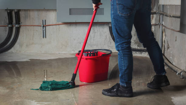 Best Water damage restoration specialists  in Perry, IA