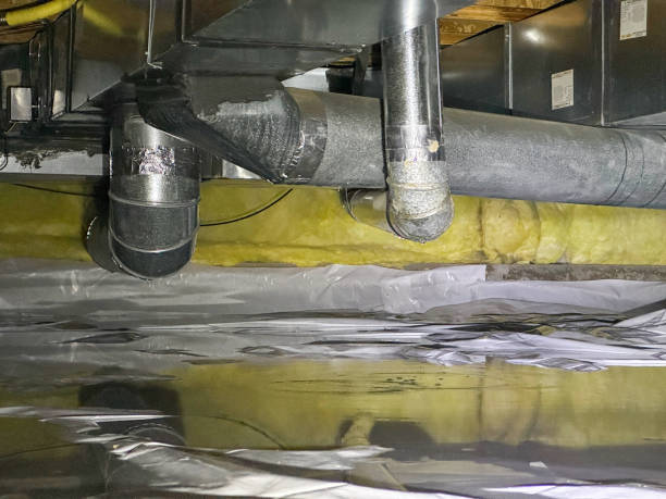Best Water damage restoration insurance claims  in Perry, IA