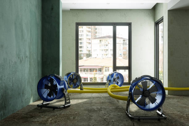 Best 24/7 water damage repair  in Perry, IA