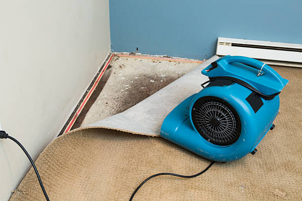 Best 24-hour water damage restoration  in Perry, IA